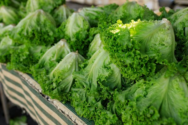 Avis sur les dessous de plat pliables et flexibles