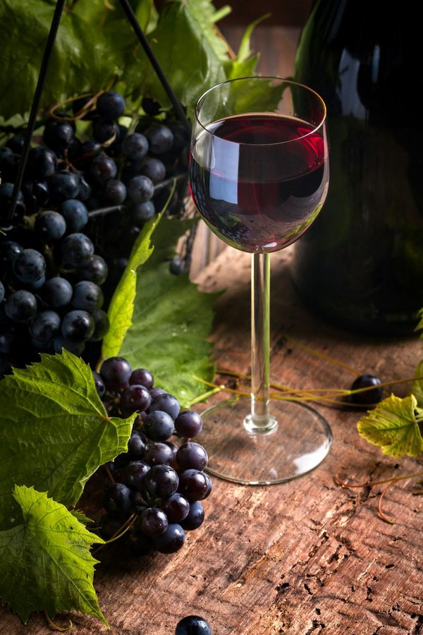 Découvrez les meilleurs vins de la vallée du rhône